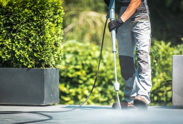 Best Spring Cleaning  in Lamont, MI