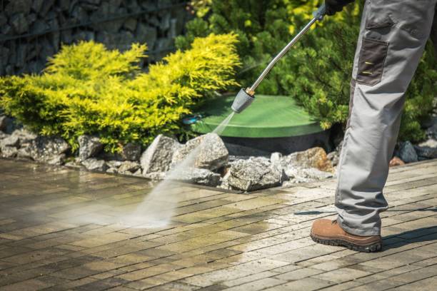 Best Boat and Dock Cleaning  in Lamont, MI