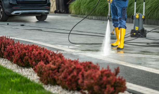 Best House Exterior Washing  in Lamont, MI