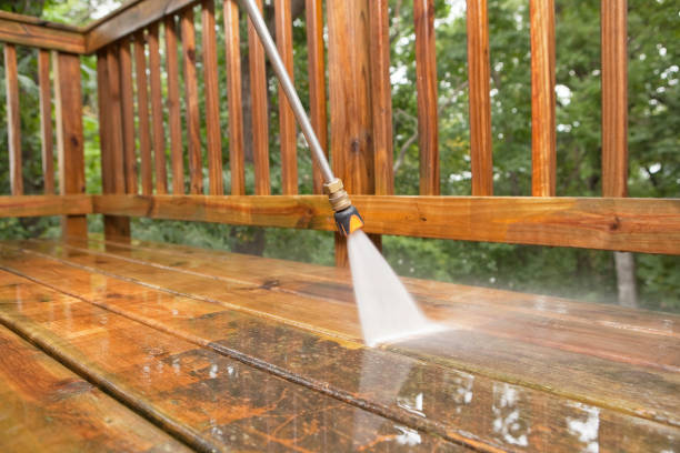Best Dumpster Area Cleaning  in Lamont, MI